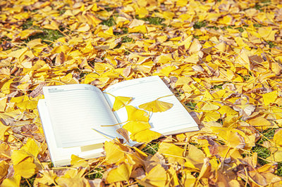 遼寧師范大學(xué)在職研究生畢業(yè)頒發(fā)什么證書？